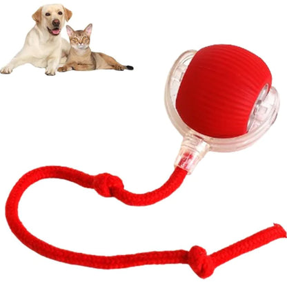 Pelota interactiva DOGS&HOME