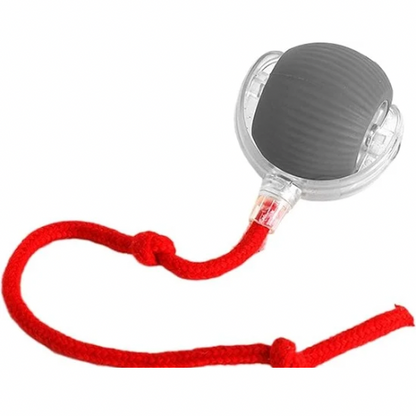 Pelota interactiva DOGS&HOME