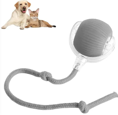 Pelota interactiva DOGS&HOME