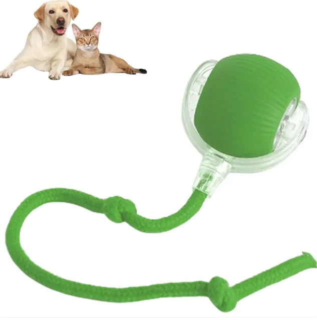 Pelota interactiva DOGS&HOME